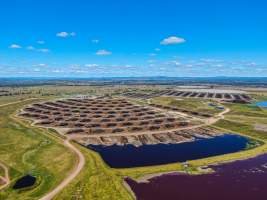 Whyalla Feedlot - Captured at Whyalla Beef Feedlot, Beebo QLD Australia.