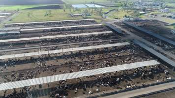 Drone flyover of cattle feedlot - Captured at Beef City Feedlot, Purrawunda QLD Australia.