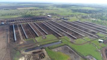 Drone flyover of cattle feedlot - Captured at Kerwee Feedlot, Jondaryan QLD Australia.