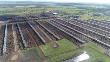 Drone flyover of cattle feedlot - Captured at Kerwee Feedlot, Jondaryan QLD Australia.