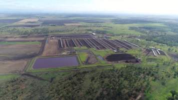 Drone flyover of cattle feedlot - Captured at Kerwee Feedlot, Jondaryan QLD Australia.