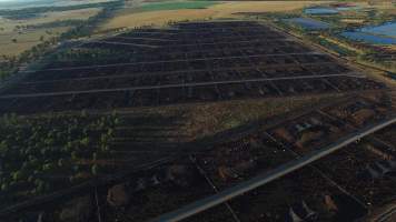 Drone flyover of cattle feedlot - Captured at Riverina Beef Feedlot, Merungle Hill NSW Australia.