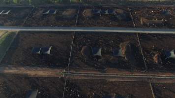 Drone flyover of cattle feedlot - Captured at Riverina Beef Feedlot, Merungle Hill NSW Australia.