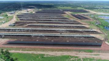 Drone flyover of cattle feedlot - Captured at Stanbroke Feedlot, Greenswamp QLD Australia.