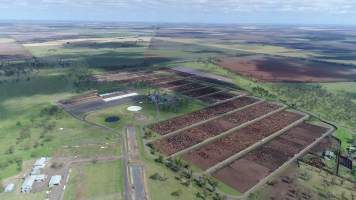 Drone flyover of cattle feedlot - Captured at Wainui Feedlot, Wainui QLD Australia.