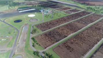 Drone flyover of cattle feedlot - Captured at Wainui Feedlot, Wainui QLD Australia.