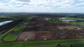 Drone flyover of cattle feedlot - Captured at Wainui Feedlot, Wainui QLD Australia.