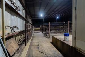 Holding pens - Empty holding pens outside kill room - Captured at Benalla Abattoir, Benalla VIC Australia.