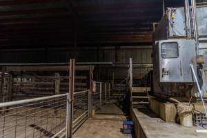 Holding pens and outside gas chamber - Captured at Benalla Abattoir, Benalla VIC Australia.