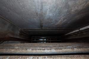 Gondolas in the gas chamber - Looking down into the gondolas in the Butina combi carbon dioxide gas chamber - Captured at Benalla Abattoir, Benalla VIC Australia.