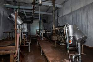 Processing room - Captured at Benalla Abattoir, Benalla VIC Australia.