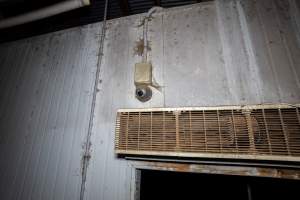 Camera over kill room - A security camera looking out over the kill room - Captured at Benalla Abattoir, Benalla VIC Australia.