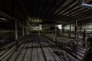 Holding pens - Captured at Benalla Abattoir, Benalla VIC Australia.