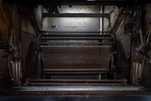 Gondola in gas chamber - Gondola inside the Butina combi gas chamber. View looking in from floor of kill room where pigs are tipped out - Captured at Benalla Abattoir, Benalla VIC Australia.