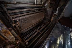 Gondolas inside gas chamber - Gondola inside the Butina combi gas chamber. View from floor of kill room looking into chamber - Captured at Benalla Abattoir, Benalla VIC Australia.