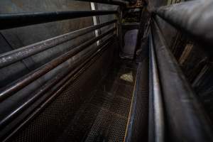 Inside the gas chamber gondola - Inside the gondola of the Butina combi gas chamber. - Captured at Benalla Abattoir, Benalla VIC Australia.