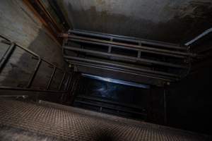 Gondolas inside gas chamber - Looking down into the pit of the Butina combi gas chamber. - Captured at Benalla Abattoir, Benalla VIC Australia.