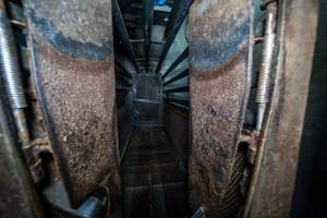 Looking into the gondola - A view from the end of race looking into the Butina combi carbon dioxide gas chamber - Captured at Benalla Abattoir, Benalla VIC Australia.