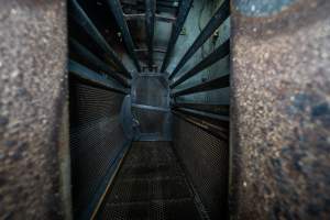 Looking into the gondola - A view from the end of race looking into the Butina combi carbon dioxide gas chamber - Captured at Benalla Abattoir, Benalla VIC Australia.