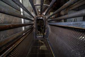 End of gondola - Looking out from end of gondola into the race. Inside the Butina combi gas chamber - Captured at Benalla Abattoir, Benalla VIC Australia.