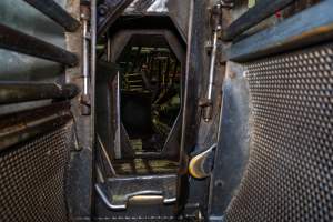 Inside the gondola - Looking out from the gondola into the race where pigs are herded up into the Butina combi gas chamber - Captured at Benalla Abattoir, Benalla VIC Australia.