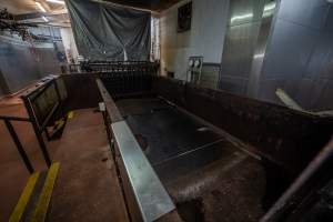 Scalding tank - An empty scalding tank used to soften pigs skin and remove hair after they have been slaughtered - Captured at Benalla Abattoir, Benalla VIC Australia.