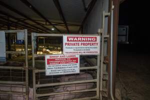 Signage at entrance to holding pens - Signs with notices to truck drivers regarding reporting animals transported and delivered and private property notices. Pigs in pens behind the signs. - Captured at Benalla Abattoir, Benalla VIC Australia.