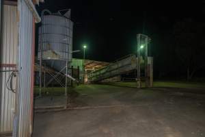 Unloading ramp - Captured at Benalla Abattoir, Benalla VIC Australia.