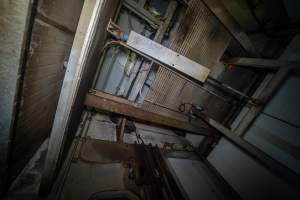 Maintenance ceiling inside gas chamber - Maintenance ceiling inside gas chamber where an investigator hid to capture footage - Captured at Australian Food Group Abattoir, Laverton North VIC Australia.