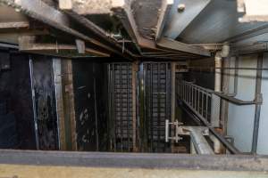 Gondolas in the gas chamber - Looking down on the gondolas inside the Co2 gas chamber - Captured at Australian Food Group Abattoir, Laverton North VIC Australia.