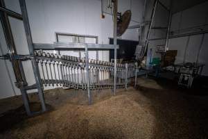 Rack of shackles - Shackle rack on kill floor - Captured at Australian Food Group Abattoir, Laverton North VIC Australia.