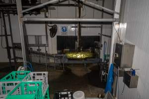 Gas chamber opening and shackle line - View across the kill floor to the gas chamber opening, hidden by a rubber shield, and shackle line - Captured at Australian Food Group Abattoir, Laverton North VIC Australia.