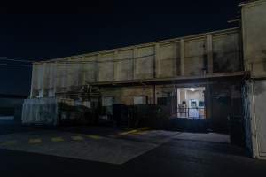 Side door into kill room - Captured at Australian Food Group Abattoir, Laverton North VIC Australia.