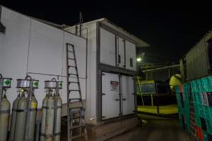 Outside of gas chamber - Outside of gas chamber where an investigator hid to capture footage - Captured at Australian Food Group Abattoir, Laverton North VIC Australia.