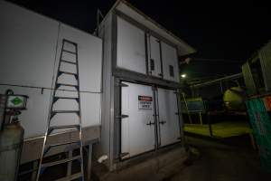 Outside of gas chamber - Outside of gas chamber where an investigator hid to capture footage - Captured at Australian Food Group Abattoir, Laverton North VIC Australia.