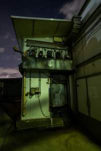 Outside of gas chamber - Outside of gas chamber where an investigator hid to capture footage - Captured at Australian Food Group Abattoir, Laverton North VIC Australia.
