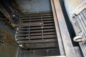 Top view of gondolas in gas chamber - A top view of gondolas in a Butina backloader gas chamber - Captured at Diamond Valley Pork, Laverton North VIC Australia.