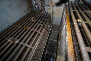 On top of the gondolas inside the gas chamber - A view standing on top of the gondolas in a Butina backloader gas chamber - Captured at Diamond Valley Pork, Laverton North VIC Australia.