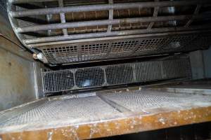 Looking down into the gas chamber - Looking down into the Butina backloader gas chamber - Captured at Diamond Valley Pork, Laverton North VIC Australia.