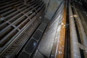 On top of the gondolas inside the gas chamber - A view standing on top of the gondolas in a Butina backloader gas chamber - Captured at Diamond Valley Pork, Laverton North VIC Australia.