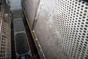 Walkway inside gas chamber - Standing on the walkway in a Butina backloader gas chamber - Captured at Diamond Valley Pork, Laverton North VIC Australia.