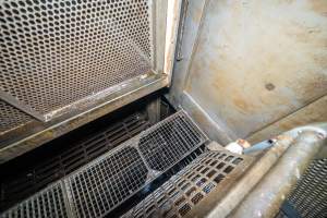 Looking down on walkway in gas chamber - Looking down onto the walkway in a Butina backloader gas chamber - Captured at Diamond Valley Pork, Laverton North VIC Australia.