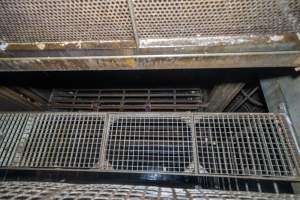 Looking down on walkway in gas chamber - Looking down onto the walkway in a Butina backloader gas chamber - Captured at Diamond Valley Pork, Laverton North VIC Australia.