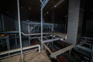 On top of the gas chamber - On top of the Butina backloader gas chamber looking out over the kill room - Captured at Diamond Valley Pork, Laverton North VIC Australia.