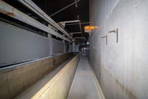 Hallway and race leading to gas chamber - Hallway used by workers and race for pigs leading to the gas chamber - Captured at Diamond Valley Pork, Laverton North VIC Australia.