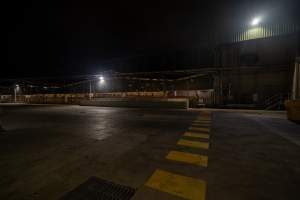 Holding pens and kill room from outside - Looking into the holding pens and across to the kill room from outside DVP - Captured at Diamond Valley Pork, Laverton North VIC Australia.