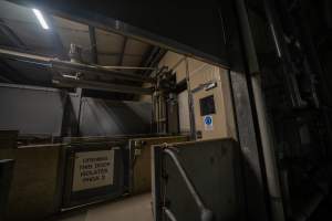 Door to race and kill room - Door into kill room and race leading from pens to kill room - Captured at Diamond Valley Pork, Laverton North VIC Australia.