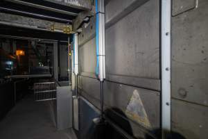 Chamber opening - Opening through which pigs are pushed into the chamber by the mechanical wall in a Butina Backloader. The chamber door automatically slides up. - Captured at Diamond Valley Pork, Laverton North VIC Australia.