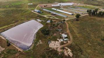 Bellgrove Pork pig farm - A dead pile of pigs can be spotted at the bottom of the photo - Captured at Bellgrove Pork, Gordonbrook QLD Australia.