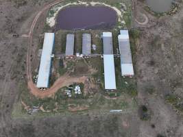 Fairy Meadow Pork pig farm - Captured at Fairy Meadow Pork, Bell QLD Australia.